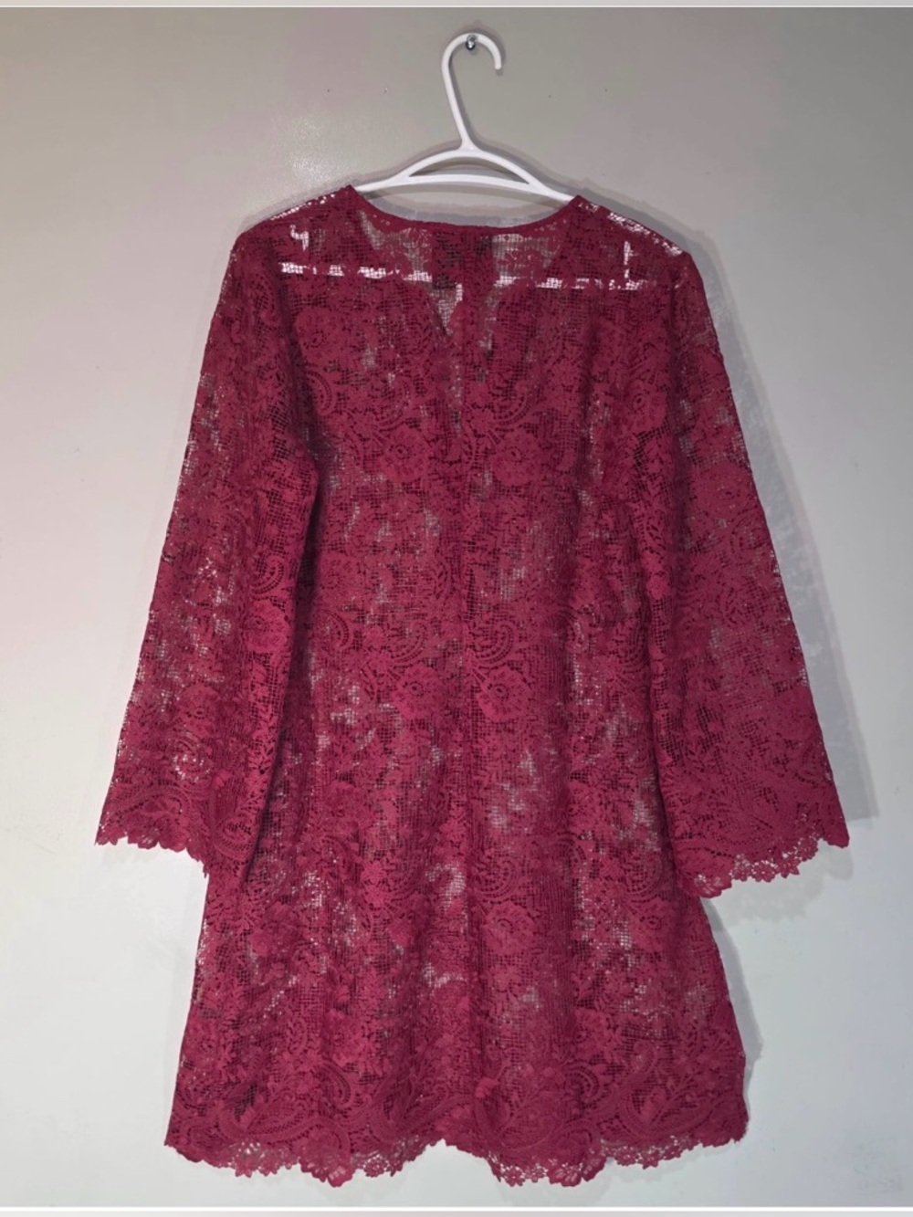 JOHNNY WAS Harper Smokey Rose Lace Tie-Front Mini Dress Size S - Picture 8 of 11